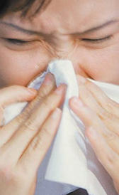 L'image de allergies